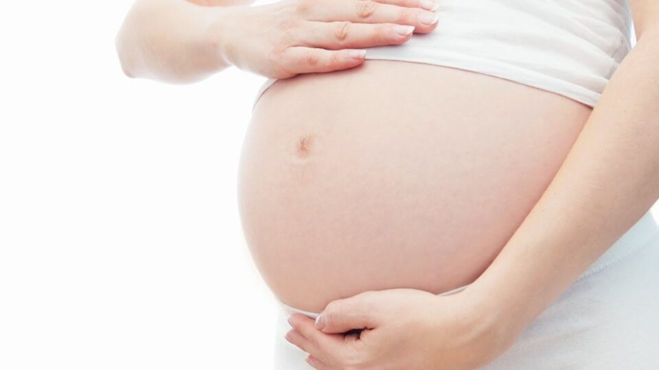 Pregnancy Trimester Guide